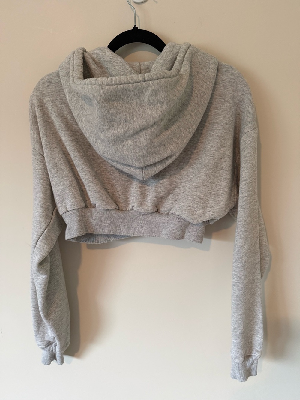 352. TNA Aritzia The Supper Crop Hoodie - Picture 5 of 5
